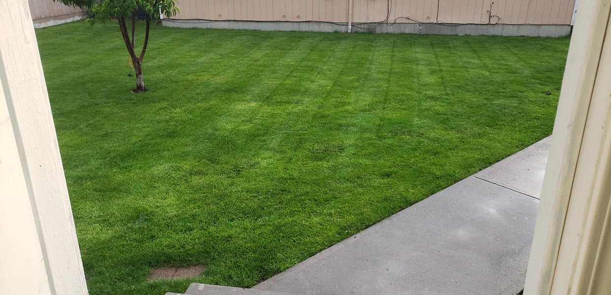 lawn care services near me